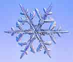 Image result for Christmas Snowflakes. Size: 146 x 125. Source: wordlesstech.com