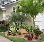 Afbeeldingsresultaten voor Small Palm Trees. Grootte: 150 x 144. Bron: zyhomy.com
