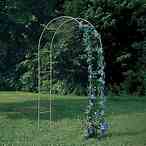 Tamaño de Resultado de imágenes de Arched Trellis for Garden.: 146 x 146. Fuente: www.wdrake.com