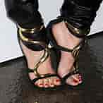 Image result for Gwen Stefani's Toes. Size: 146 x 146. Source: www.wikifeet.com