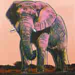 Image result for Andy Warhol Art Gallery. Size: 150 x 149. Source: www.sothebys.com