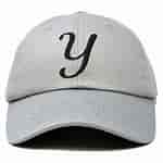 Image result for Y Hat symbol. Size: 150 x 150. Source: www.ebay.com