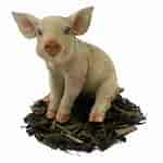 Image result for Pig Resin. Size: 150 x 150. Source: www.garden4less.co.uk