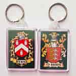 Image result for Devlin Coat of Arms Keyring. Size: 150 x 150. Source: familyhistories.ie