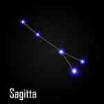 Image result for "sagitta Americana". Size: 150 x 150. Source: www.vecteezy.com