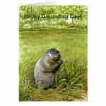 Image result for Groundhog Day Cards. Size: 150 x 150. Source: www.zazzle.com