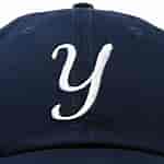 Image result for Y Hat symbol. Size: 150 x 150. Source: www.ebay.com