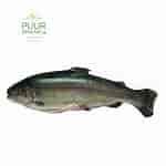 Image result for Forel materiaal. Size: 150 x 150. Source: webshop.puursmaak.be