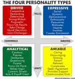 Image result for Colours For Personality Types. Size: 150 x 158. Source: www.pinterest.com
