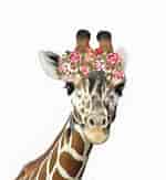 Image result for Giraffe Flowers. Size: 150 x 163. Source: fineartamerica.com
