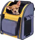 Image result for Sac A dos petit chien. Size: 150 x 172. Source: www.amazon.fr