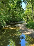 Image result for Rippling Stream Campground