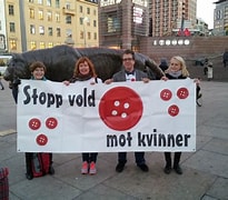 Bilderesultat for norske kvinners sanitetsforening