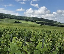 Image result for Francois Carillon Puligny Montrachet Combettes