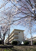 Image result for 宮城県宮城広瀬高等学校 設置学科