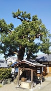Image result for 京都 地蔵禅寺