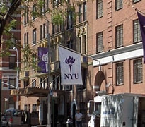 Bilderesultat for New York University