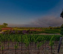 Image result for B Cellars Cabernet Sauvignon Howell Mountain
