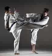 Image result for Dansk Taekwondo Forbund. Size: 171 x 185. Source: www.dif.dk