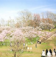 平岡公園 バリアフリー に対する画像結果.サイズ: 182 x 174。ソース: www.sapporo.travel
