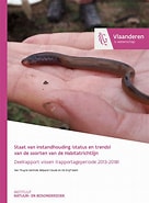 Image result for Atlantische Kleinstaarthaai Staat van instandhouding. Size: 136 x 185. Source: www.researchgate.net