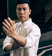 Image result for Donnie Yen Show. Size: 173 x 185. Source: theactionelite.com