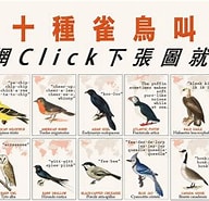 Image result for 鳥叫聲辨識. Size: 192 x 185. Source: www.hk01.com