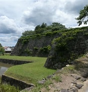 Результат пошуку зображень для 篠山城 なぜ建てられた. Розмір: 176 x 185. Джерело: plaza.rakuten.co.jp