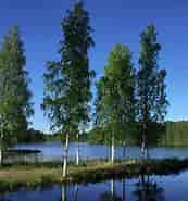 Image result for ympäristö ja Luonto. Size: 173 x 185. Source: www.kangasniemi.fi