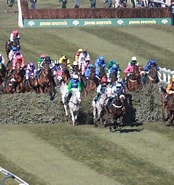 Image result for 2013 Grand National. Size: 174 x 185. Source: www.grand-national-guide.co.uk