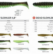 Image result for Illex Catalogue. Size: 181 x 185. Source: www.fishandtest.com