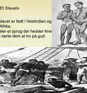 Image result for World Dansk samfund Debatemner slaveri. Size: 173 x 185. Source: snotranet.blogspot.com