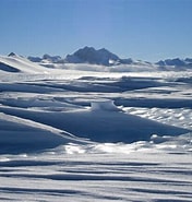 Image result for "arctapodema Antarctica". Size: 176 x 185. Source: phys.org