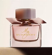 Image result for Premium women's Perfume. Size: 175 x 185. Source: editorialist.com