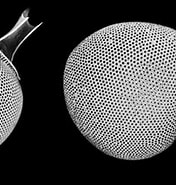 Afbeeldingsresultaten voor "Protocystis Bicornuta". Grootte: 176 x 158. Bron: www.researchgate.net