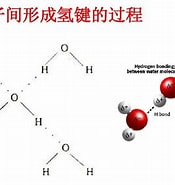 Image result for 氢键 Wikipedia. Size: 175 x 185. Source: www.baike.com