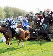 Image result for "grand National". Size: 176 x 185. Source: www.huffingtonpost.co.uk