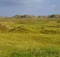 Image result for Thisted Land. Size: 195 x 150. Source: www.tripadvisor.com