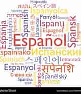 mida de Resultat d'imatges per a words Español.: 159 x 185. Font: www.vrogue.co