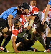 Image result for Japan Rugby football Union. Size: 173 x 185. Source: www.rugbynews.com.uy
