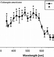 Image result for "calanopia Americana". Size: 175 x 185. Source: www.researchgate.net