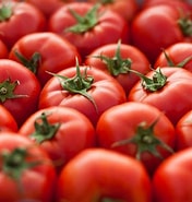 Image result for La Tomato. Size: 176 x 185. Source: www.gardeningknowhow.com