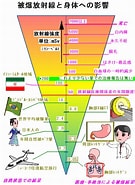 Image result for 許容被ばく量. Size: 135 x 185. Source: trizmegane.cocolog-nifty.com