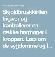 Billedresultat for World Dansk Sundhed sygdomme og lidelser Hormonale. størrelse: 178 x 185. Kilde: www.pinterest.com