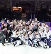 Image result for World Suomi Urheilu Ringette. Size: 174 x 185. Source: yle.fi