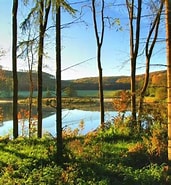 Image result for Naturpark Elm-Asse. Size: 171 x 185. Source: www.elm-asse.de