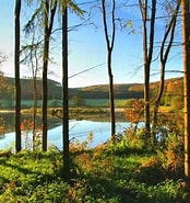 Image result for Naturpark Elm-Asse. Size: 174 x 185. Source: www.elm-asse.de