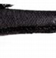 Afbeeldingsresultaten voor "halosauropsis Macrochir". Grootte: 180 x 60. Bron: www.researchgate.net