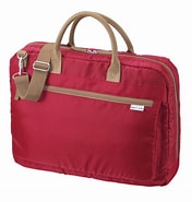 Image result for BAG-CA7R2. Size: 176 x 185. Source: www.sanwa.co.jp