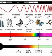Image result for spettro elettromagnetico Wikipedia. Size: 174 x 185. Source: www.scienze-naturali.com